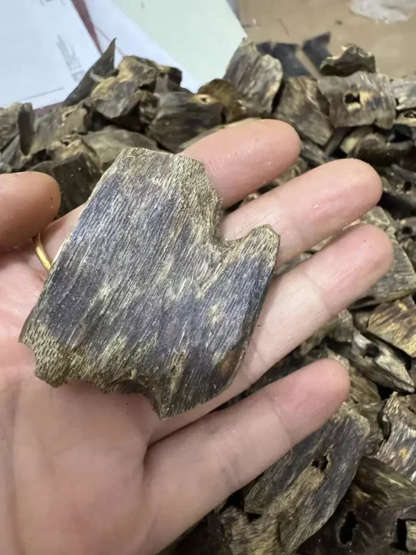 Premium Vietnamese Agarwood Chips for Meditation