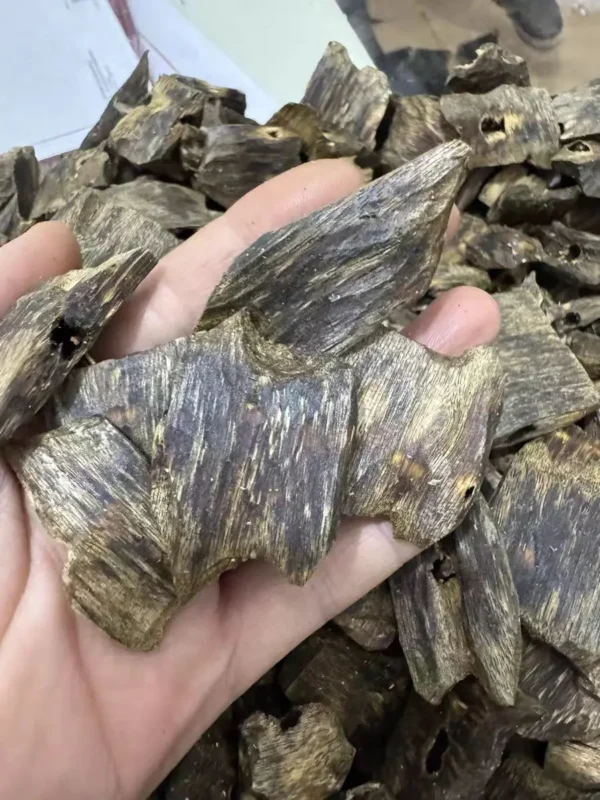 Premium Vietnamese Agarwood Chips for Meditation