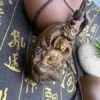 Sandalwood Tathagata Buddha Pendant Necklace